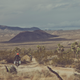 Illustration for article titled The Stunning Beauty Of A Winter Motorcycle Trip Into The Mojave Desert